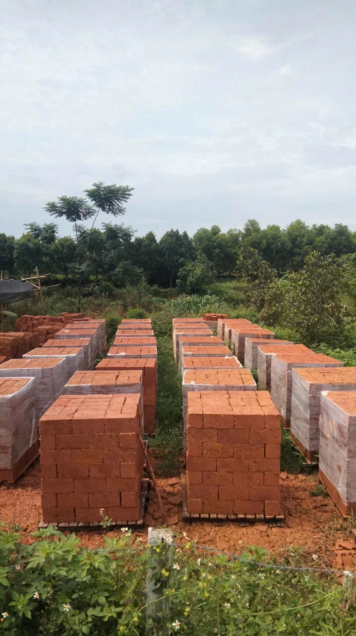 Đá ong cắt gọn – Tiện lợi, bền bỉ, dễ thi công