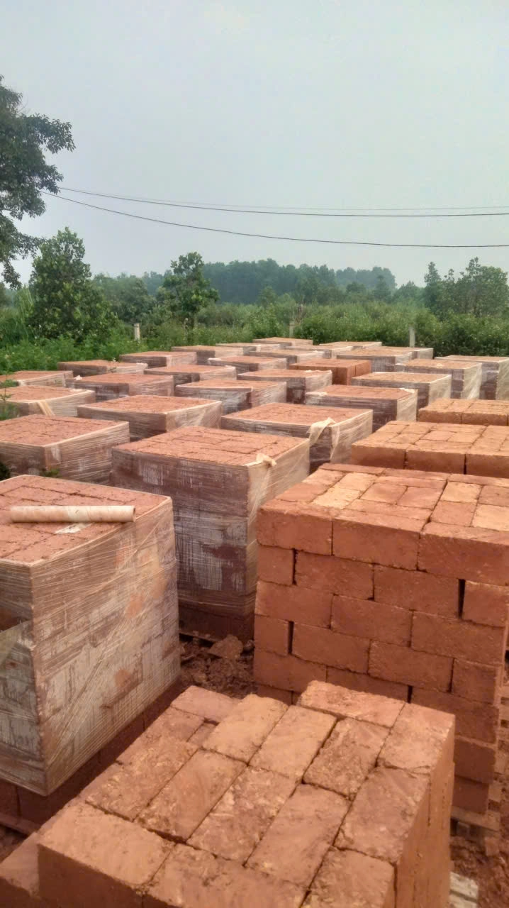 Đá ong cắt gọt – Vẻ đẹp mộc mạc, tinh tế và bền vững